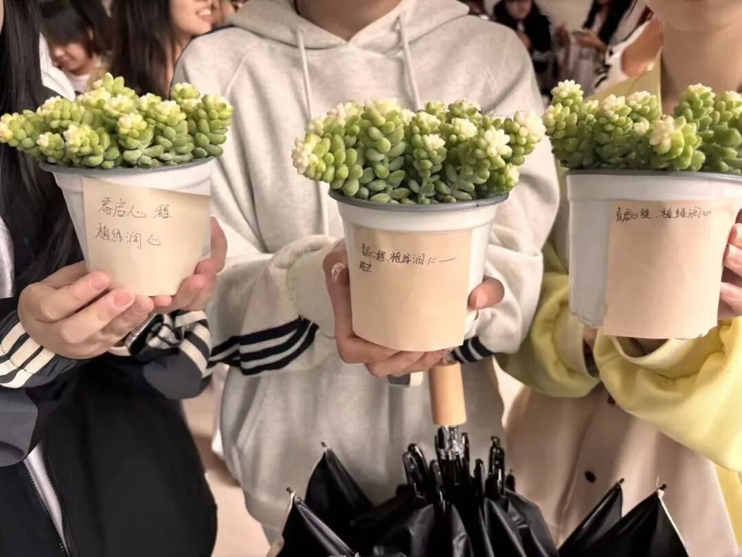 春日绿植主题活动,同学们先后领取植物